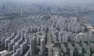 ‘서울 상업지역 중 1.5%’ 중심상업지역 10여년만에 지정하나