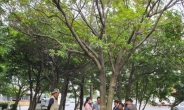 순천대, 광주·전남권역 ‘나무의사 수목치료기술자’ 양성기관으로 지정