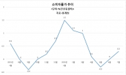 긴 장마에 신선채소 물가 16.5% 급등…경기·고용 침체 속 ‘밥상물가’ 비상