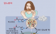 장내미생물 제어로 당뇨병 치료효과 높인다