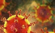 러시아 전문가 “코로나 바이러스 변이성 독감의 30분의 1”