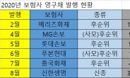 연 3% 안정수익…보험사 영구채 인기