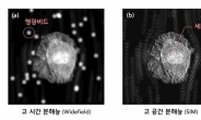 서로 다른 생명현상 동시에 관찰한다