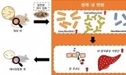 밀가루 과다 섭취가 ‘마른 비만’ 초래한다