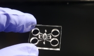 바이오칩 1시간 내 제작 가능…레이저 초고속 가공법 개발