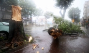 전국 태풍 ‘바비’ 영향권…27일까지 강한 바람·많은 비