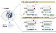 원하는 표적만 정확하게 잘라낸다…유전자가위 안전성↑