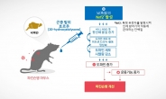 곤충 추출 호르몬, 파킨슨병 운동장애 개선효과↑