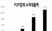 “감사보고서 제출 P2P 업체 中 6곳만 최신보고서 내”