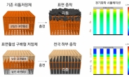 전기車 리튬금속전지 성능저하 해결…리튬이온전지보다 용량 10배↑