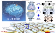 腦 기능 모사한 ‘인공시냅스 소자’…고밀도 뉴로모픽 칩 만든다