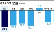 인도 경제도 코로나에 쓰러지다