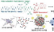 항암제 내성·부작용 동시에 해결…무독성 나노약물 나온다