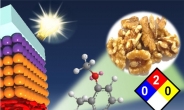 식품첨가제로 페인트처럼 바르는 ‘태양전지’ 만든다