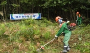 코로나 탓…올 추석 산림조합 ‘벌초대행’ 실제로 늘었다