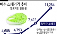 포장김치도 품절…김치회사 임직원도 못 산다