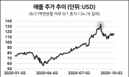 ‘출시임박’ 아이폰12, 애플株 구원투수 될까?