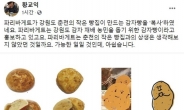 파리바게뜨 중단한 '감자빵' 표절일까, 아닐까