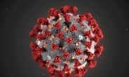 일본 연구팀, 내쉬는 숨으로 코로나19 감염 진단법 개발