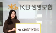 KB생명, CEO 정기보험 무배당 출시