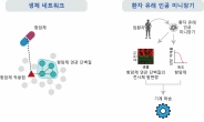 항암제 치료효과 예측하는 ‘AI’…개인 맞춤형 의료시대 열린다