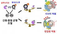 암(癌) 세포 사멸능력 2배 높인 ‘약물전달체’ 개발!