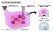 3D 프린터로 ‘인체 모사 장기’ 쉽게 찍어낸다