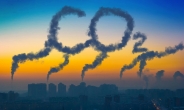 발등의 불, 탄소세 기업의 생존이 달려있다