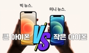 ‘작은’ 아이폰12 vs ‘큰’ 아이폰12…뭐가 더 잘 팔릴까? [IT선빵!]