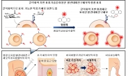 줄기세포치료제 효능 예측…‘피부 괴사’ 막는다!