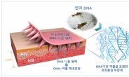 무통증 약물전달 주사·스마트 로봇의족…올해의 10대 기계기술 선정