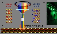 빛으로 ‘2차원 반도체’ 기능 바꾼다…원자층 집적회로 소자 구현