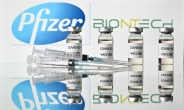 EU내 코로나 백신 보급 개시…독일, 27일 양로원부터 접종 시작