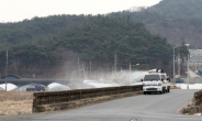 무안 산란계 농장서 고병원성 AI 확진…국내 농장 42번째