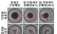 지방세포가 만들어낸 지방산이 癌세포 전이 촉진한다!