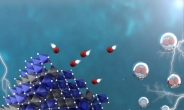 수소생산효율 13%↑ ‘코발트 촉매’…고가 귀금속 촉매 완벽대체