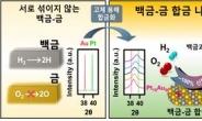 만능 산화제 ‘과산화수소’ 대량생산 상용화된다