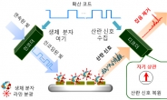 알츠하이머 ‘신경질환’ 조기진단 가능해진다…KAIST 생체분자 검출기술 개발