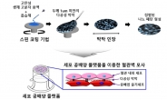 신약개발 동물실험 대체한다…줄기세포 ‘인공장기’ 배양기술 개발