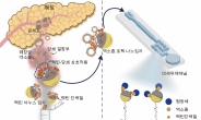 자각증상없는 침묵의 살인자 ‘췌장암’…조기진단 길 열린다