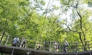 서울 안산공원서 화재…알고보니 40대 여성 불내고 신고