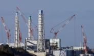 후쿠시마 원전사고 10년 “사망자 90%가 익사…잘못된 정보가 원자력 불신 키웠다”