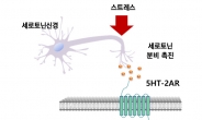 스트레스로 악화되는 ‘근긴장이상증’ 환자 희소식…KAIST 치료물질 개발