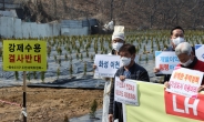 “현금 안풀리게 하려고 했더니”…정부 ‘대토보상’ 딜레마 [부동산360]