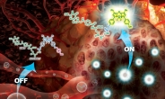 癌세포만 표적해 형광신호 ‘반짝’…수술 정확도 높인다