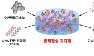 만성 신장병 환자에게 희소식…손상된 신장 재생기능 높였다