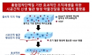 홍합접착제로 손상된 조직 혈관 만든다