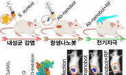 병원성 세균만 골라 없애는 ‘나노로봇’…항생제 내성문제 해결사로 뜬다