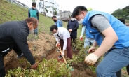 화성 동탄 장지천 산책로 나무 식재