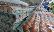 소비자물가, 6개월 연속 2%대 상승…달걀 43.4↑·상추 35.3%↑